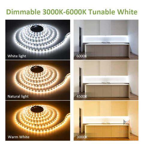 220V Şerit LED (10 cm’de Kesilebilir) + 220V Fiş